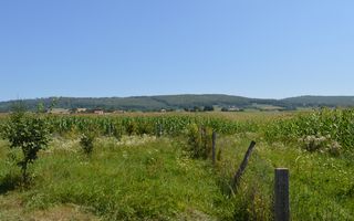 Casă 5 camere Siliștea Nouă/Suceava - Poză 6