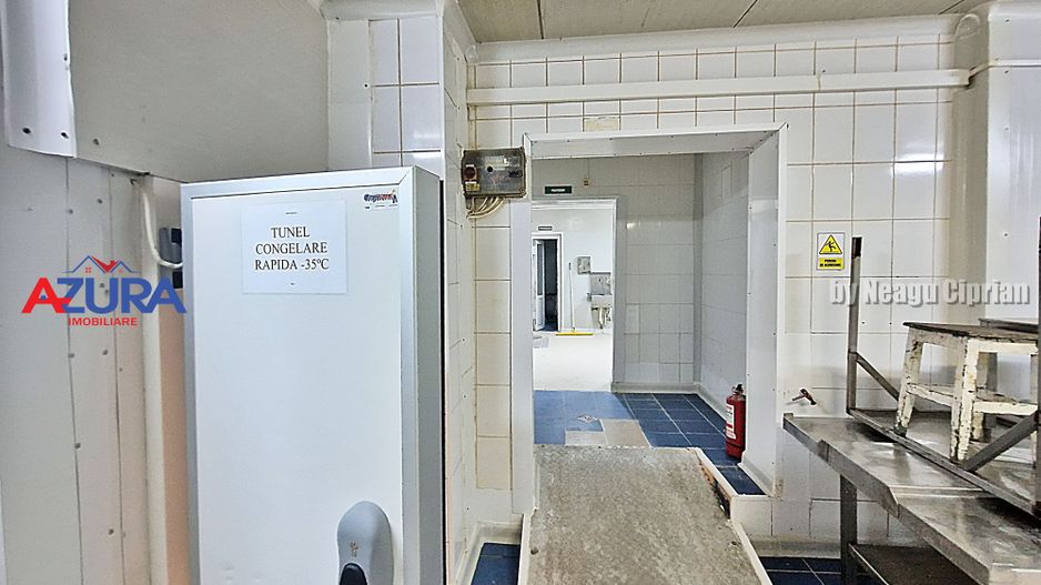 AZURA Imobiliare - Hala Fabrica de procesare Carne - Poză 16