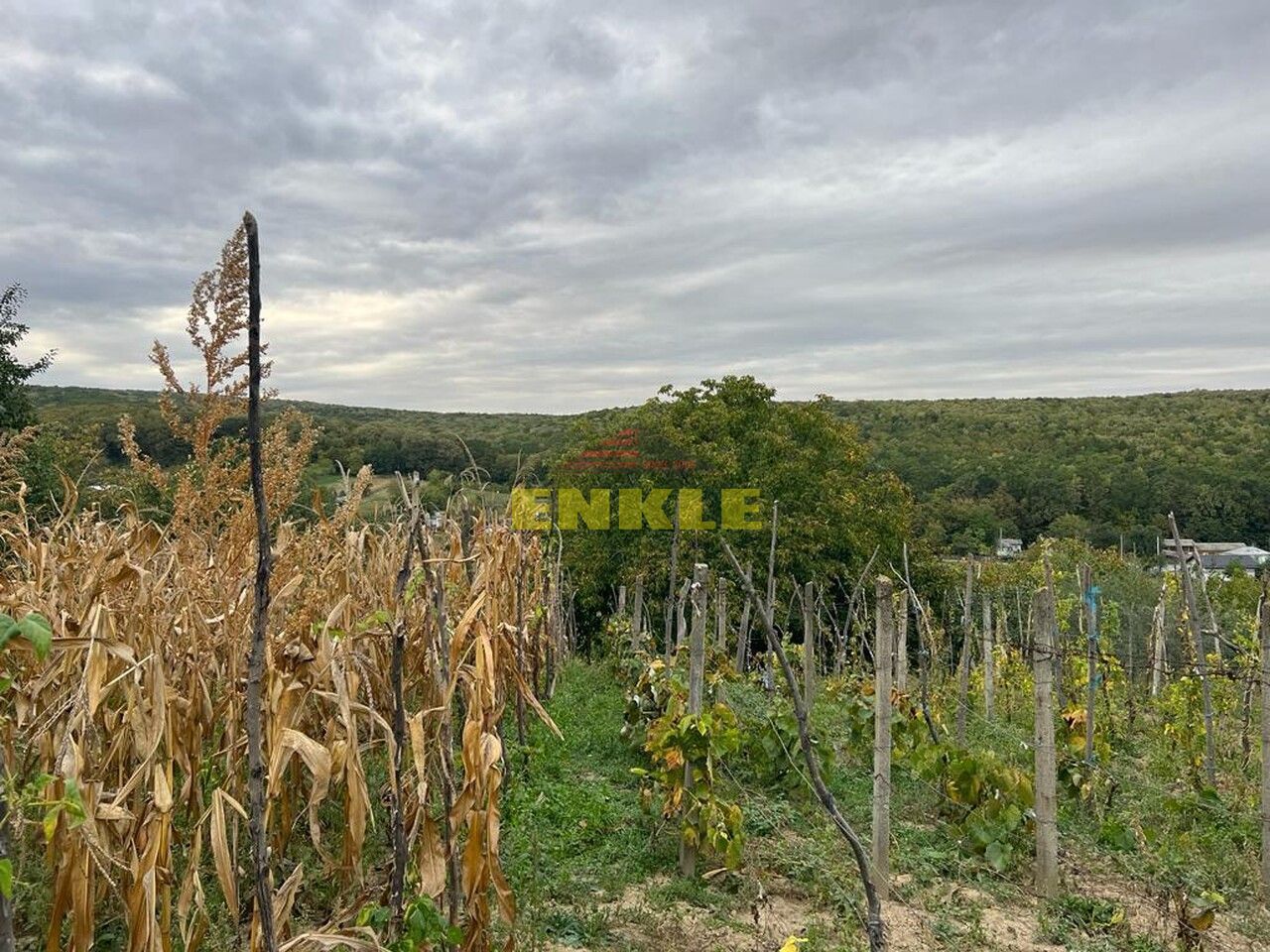 De vânzare casă bătrânească cu anexă in Oneaga - Poză 6