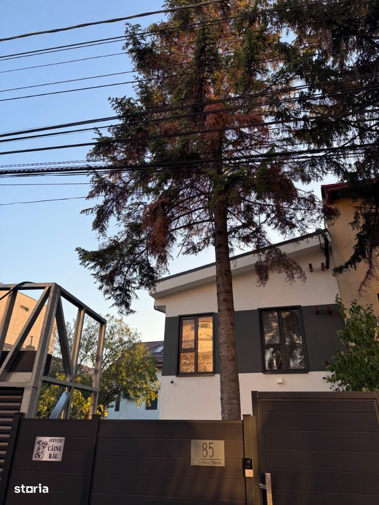 Vila verde cartier Baneasa - Poză 4