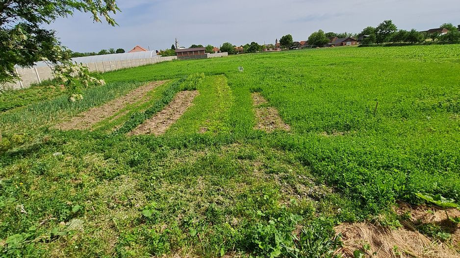 Casa nemțească cu teren generos - Poză 2
