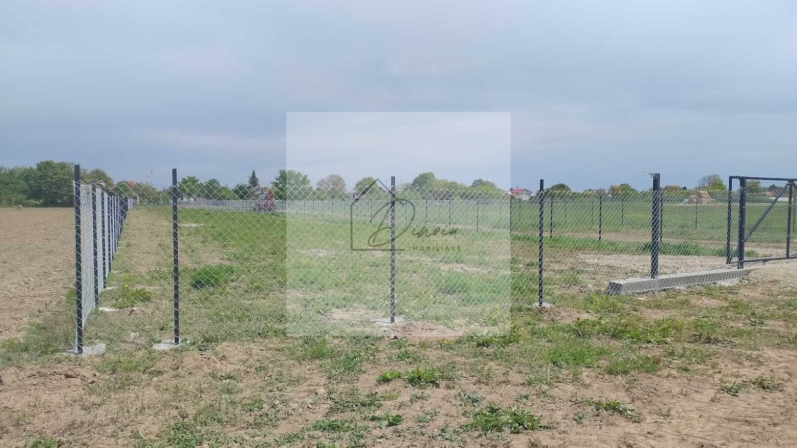 Teren intravilan 2078 mp langa padure - Piscu Ciolpani Snagov - Poză 5