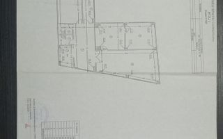 Teiul Doamnei numarul 89, Bucuresti, Sector 2 - Poză 4