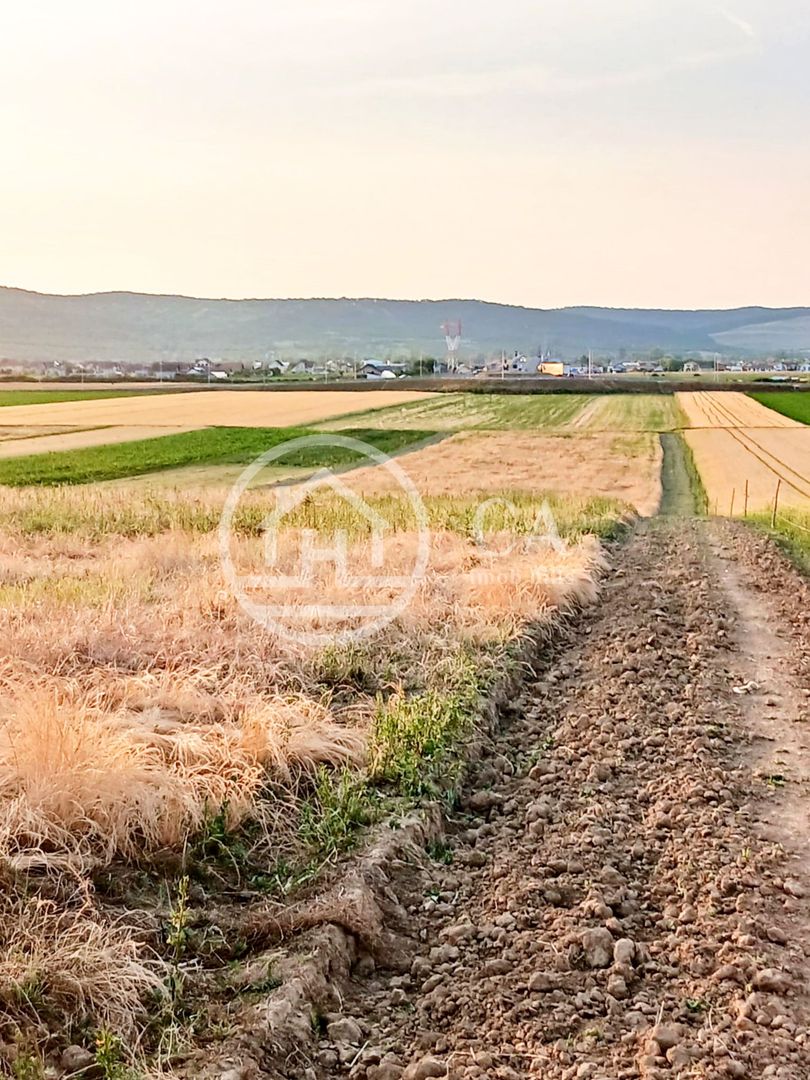 Teren intravilan de vanzare in Alparea, Bihor - Poză 3