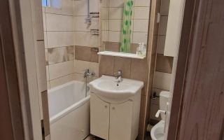 Apartament 2 camere de inchiriat, Tatarasi, Stejar, Liceul Cuza, Iasi - Poză 9