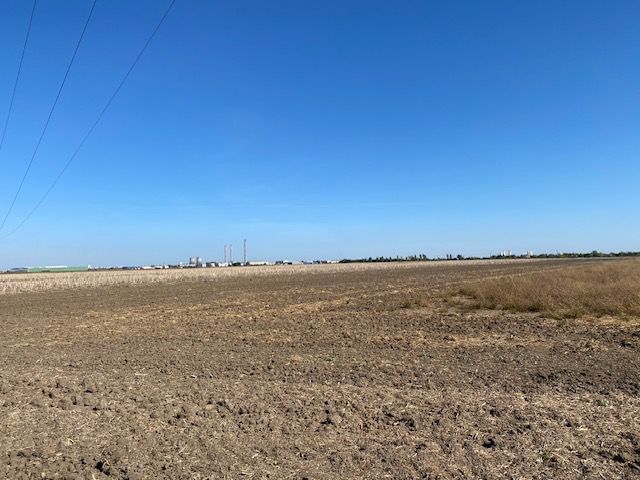 Teren agricol în Zona Sagului - Poză 5