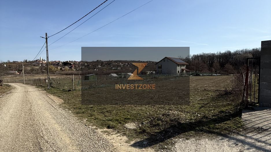 Teren intravilan 700 mp cu utilități în Paleu - Poză 4