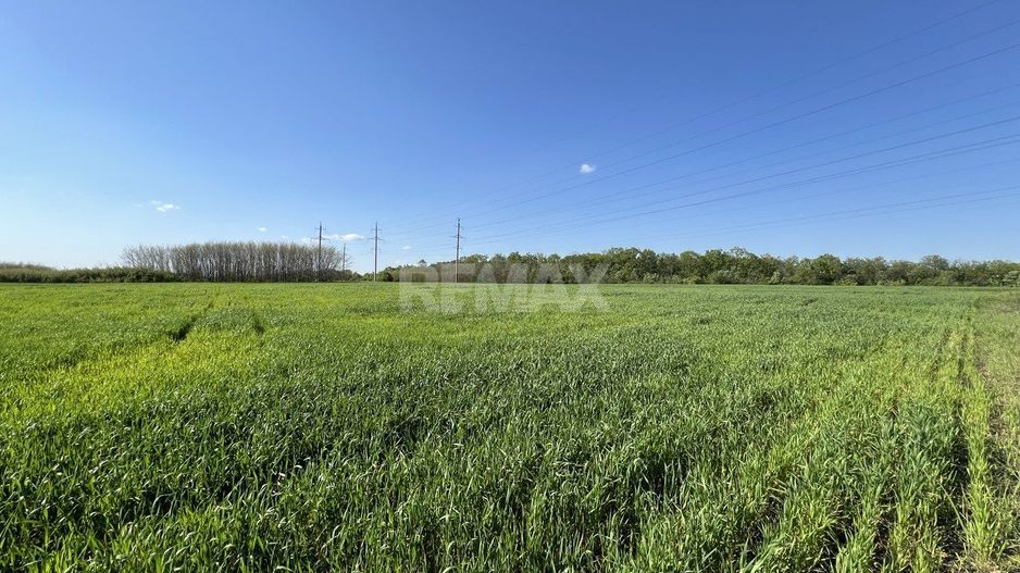 Teren agricol de 24 ari în Ghidighici – aproape de pădure, potrivit pentru investiție sau activitate agricolă - Poză 3