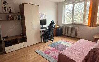 Apartament 2 camere decomandat, vedere parc IOR, pet friendly, etaj 4 - Poză 1