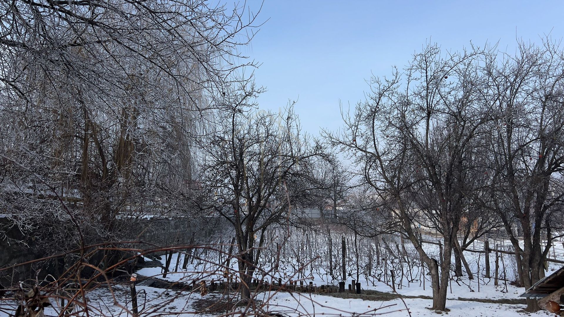 Casă de vânzare în Târgu Ocna - Poză 12