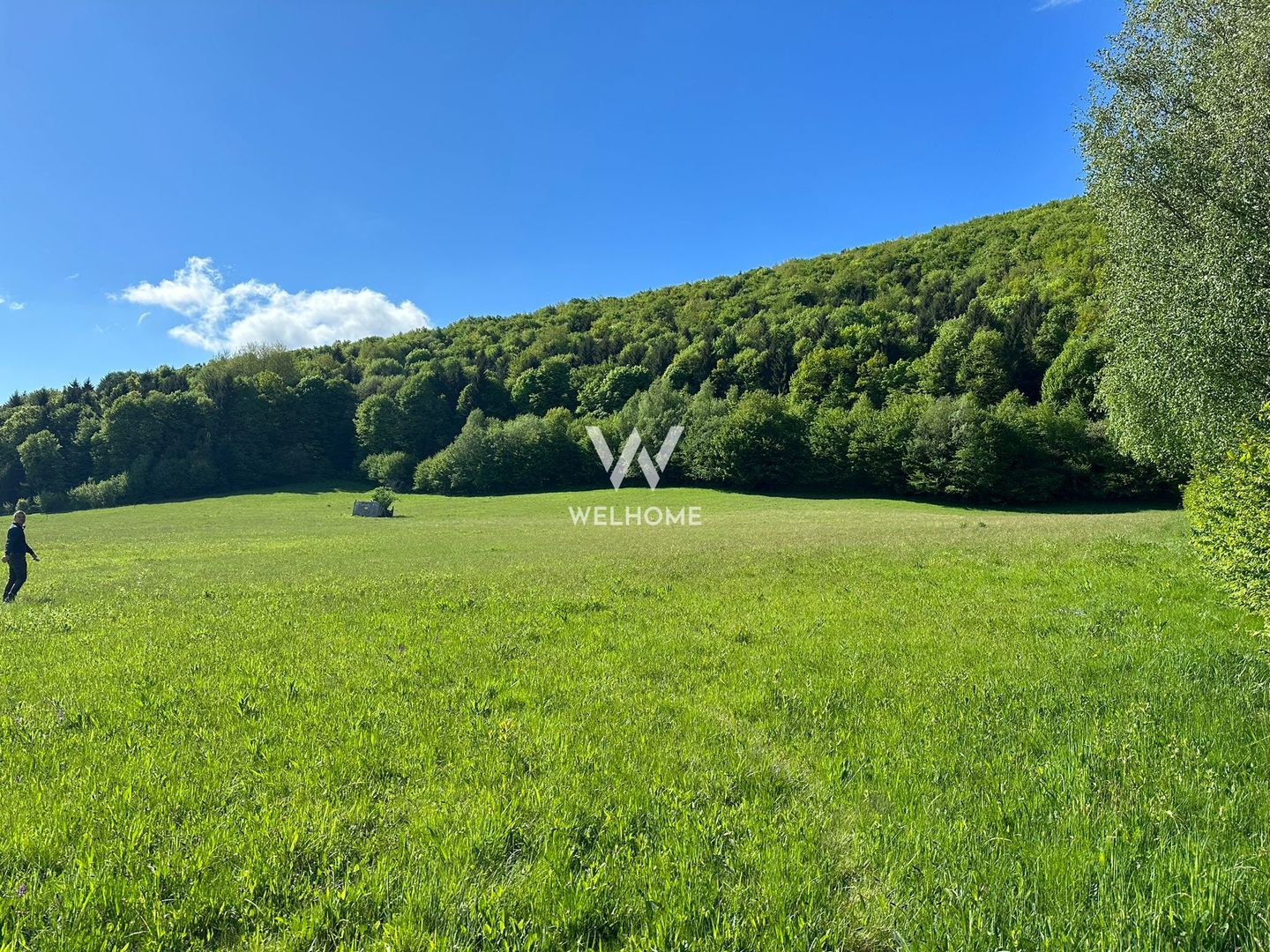 Teren Intravilan in Tocile-priveliste deosebita - Sadu - Sibiu - Poză 1