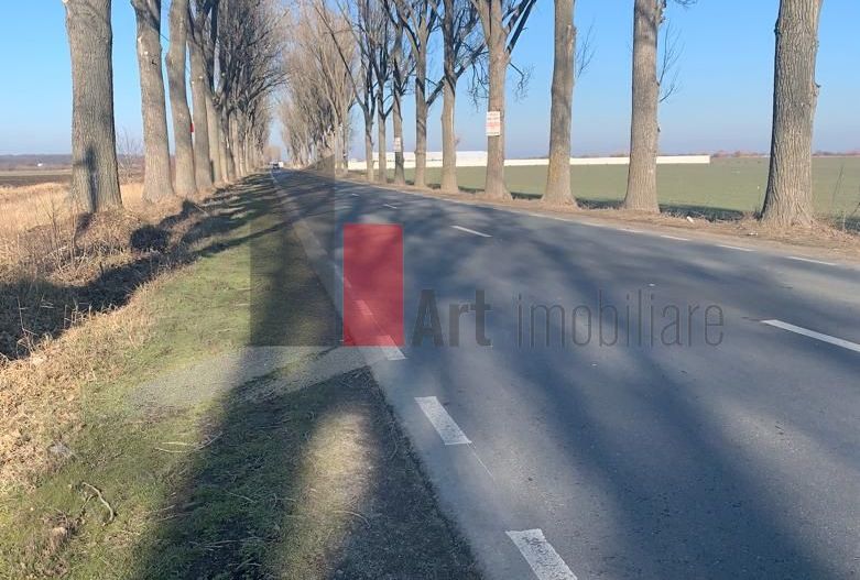 Vanzare Teren Intravilan 25.700 Stefanesti - Poză 7