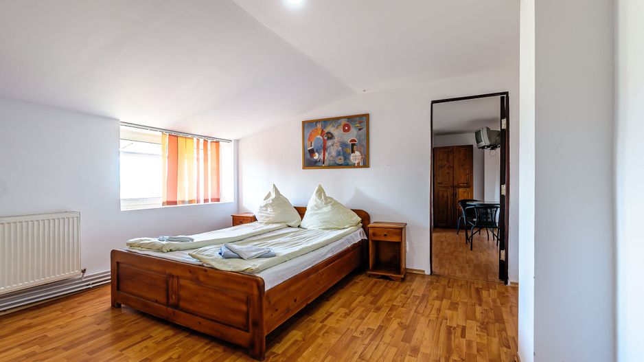 4,2 ha Teren DN7 Nădlac pentru Parc Logistic - Poză 9