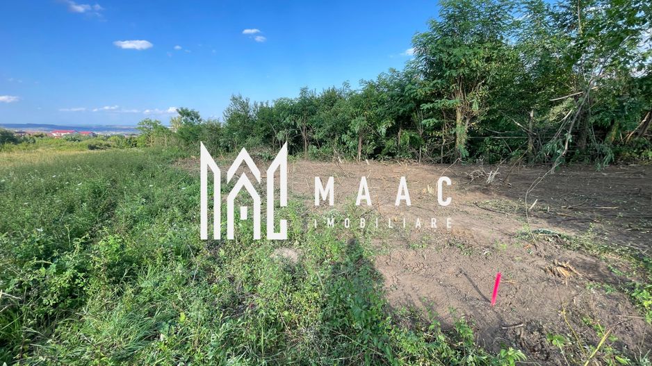 Oportunitate de Investiție Strategică | Teren Intravilan | Colonia Becas - Poză 3