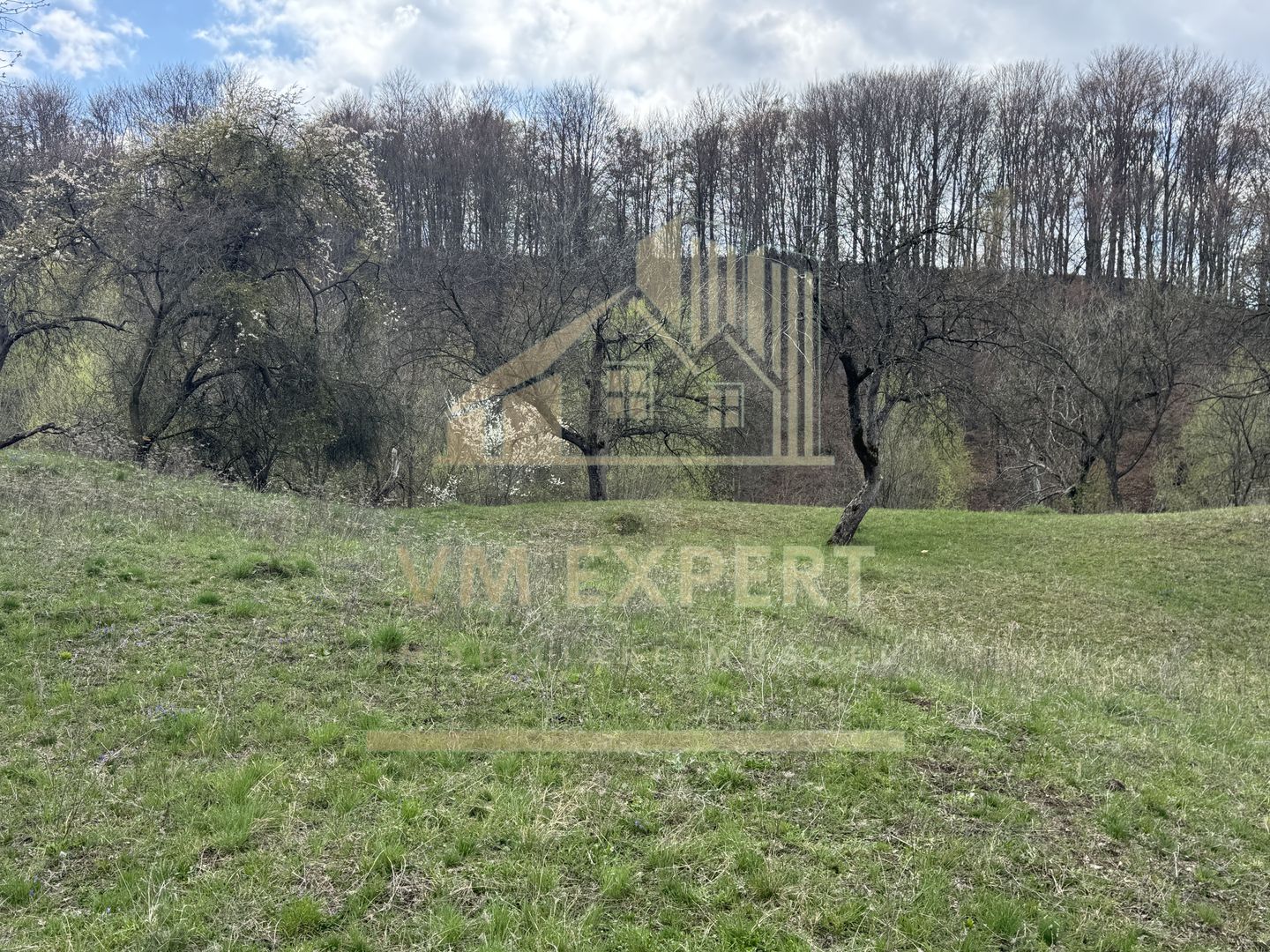 TEREN INTRAVILAN 4365 MP POENARII DE MUȘCEL  JUDEȚUL ARGES - Poză 26