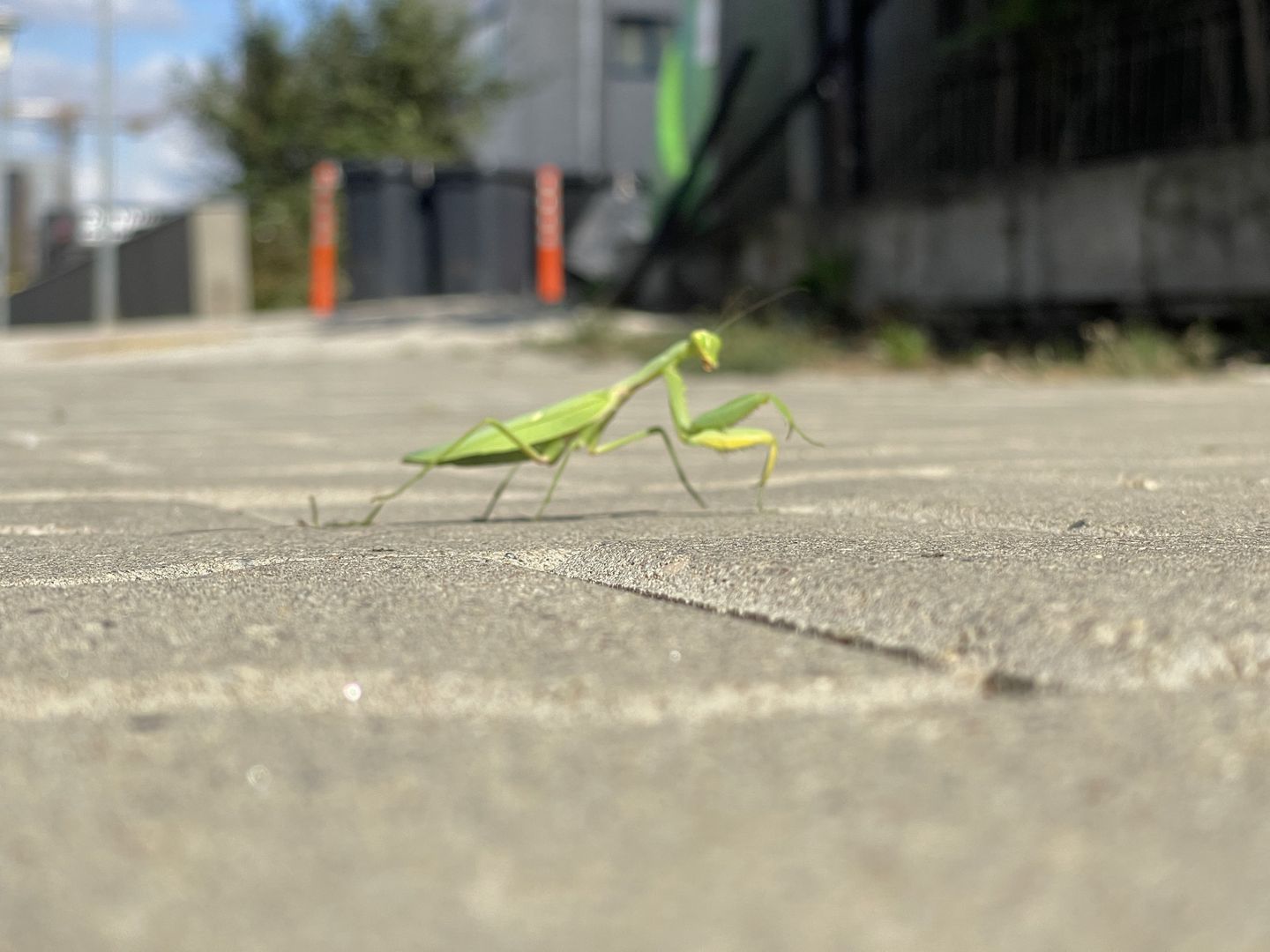 Parcare Subterana-3 camere & 2 bai | 2 niveluri & 2 balcoane - Poză 32