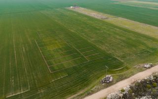 Teren dezvoltare bloc P+2E+M Giroc PUZ aprobat - Poză 10