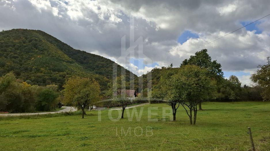 Teren intravilan cu Puz si priveliște deosebită, spre Cetatea Cisnădioara - Poză 5