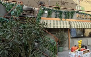Teren 298 mp + Restaurant // Cotroceni - Poză 5