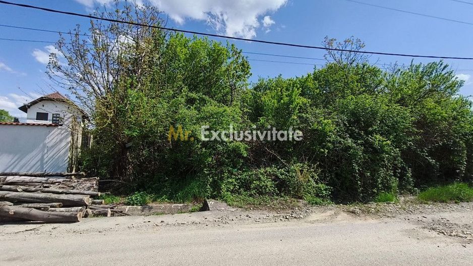 Teren 1712mp de vânzare în Horezu, Turcinești, lângă Pensiunea Arianna - Poză 5