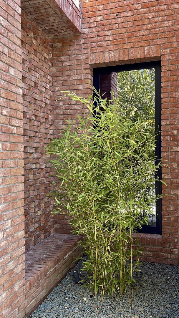 Casa Parter Exclusivista | Design Minimalist | Otopeni - Poză 22