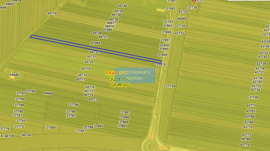 Teren extravilan 5000 mp – deschidere DN5 - Poză 3