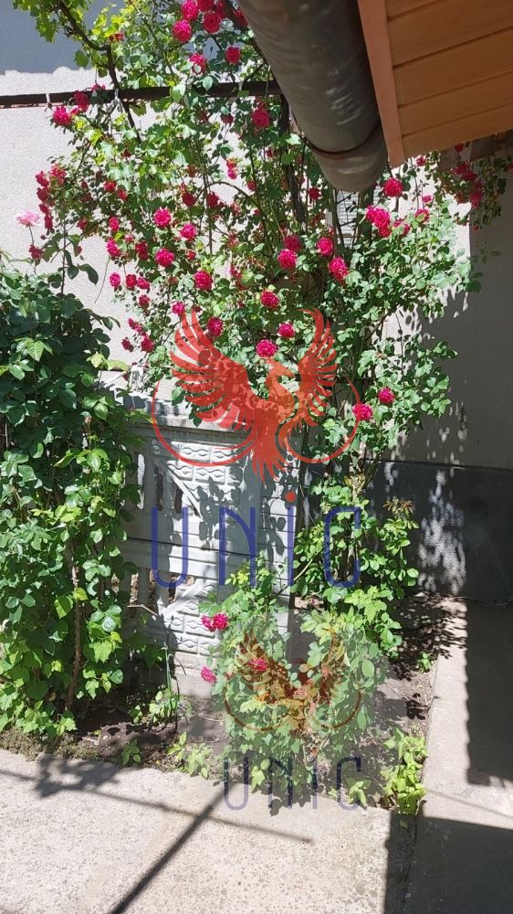 Casa pe parter, Marsani - Poză 7