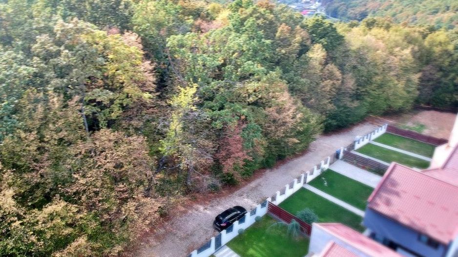Ocazie!! Vanzare teren - padure, toate utilitatile, Balotesti - Poză 12