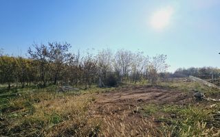 Teren intravilan de vanzare, Podei - Poză 3