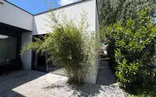 Vila cu 5 camere // * 565 mp gradina* // Tunari - Poză 117