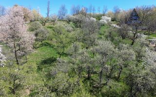 Teren 2500 mp Sohodol - Poză 8