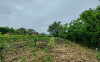 Casa | 1331 mp Teren | Miercurea Sibiului | - Poză 10