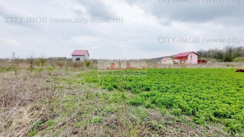 Teren de vanzare Cocani, Crevedia, langa padure Dambovita - 17 km de Bucuresti - Poză 8