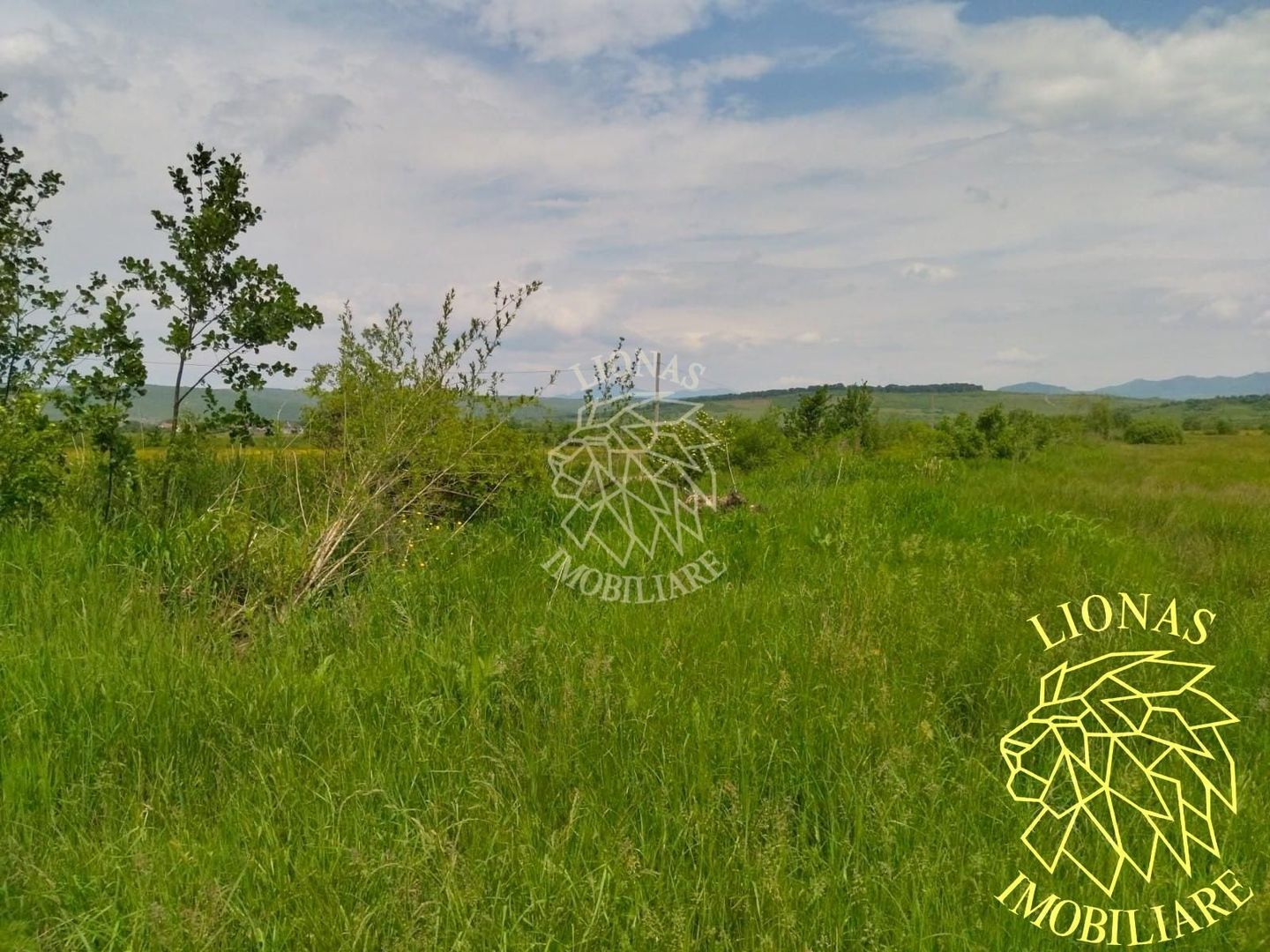 Teren 13100 mp-parcelabil-ideal cabana/agricultura-Orheiul Bistritei - Poză 2