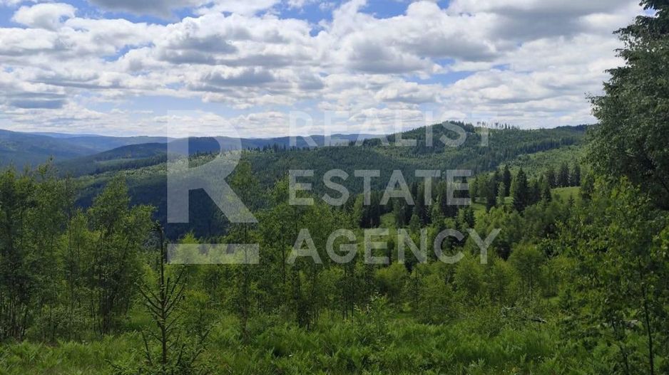 Vânzare, teren, extravilan, Suceava - Poză 1