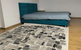 Apartament de inchiriat Clucerului Aviatorilor Arcul de triumf - Poză 5