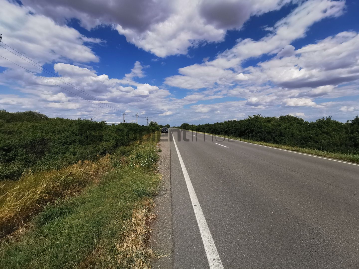 De vânzare teren extravilan, 11,600 mp, Salonta - Poză 8