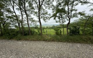 Vand teren 1135 m2 - Poză 3