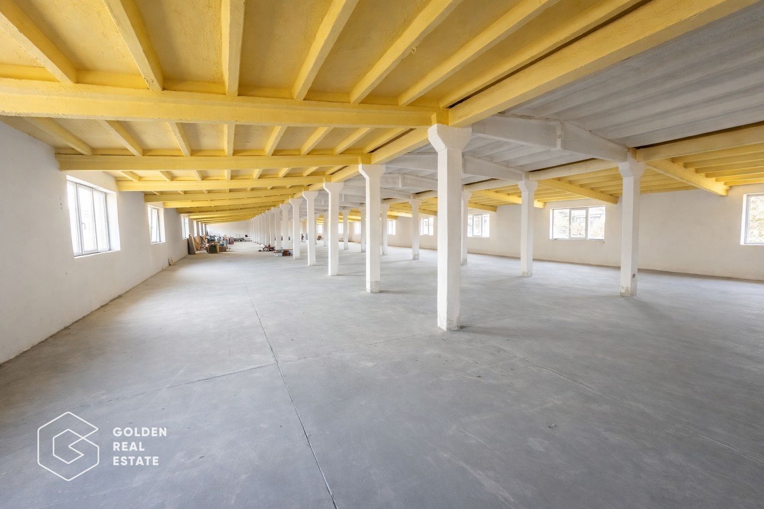 Hala moderna, pretabila pentru birouri, depozitare, 1094mp, etaj1, zona Aeroport - Poză 8