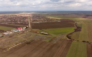 Fermă cu teren intravilan de 35000 mp în Mișca - Poză 4