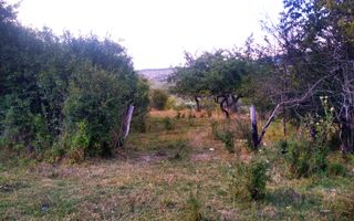 Teren 60 ari - oportunitate investitie - Satu Nou - Poză 2