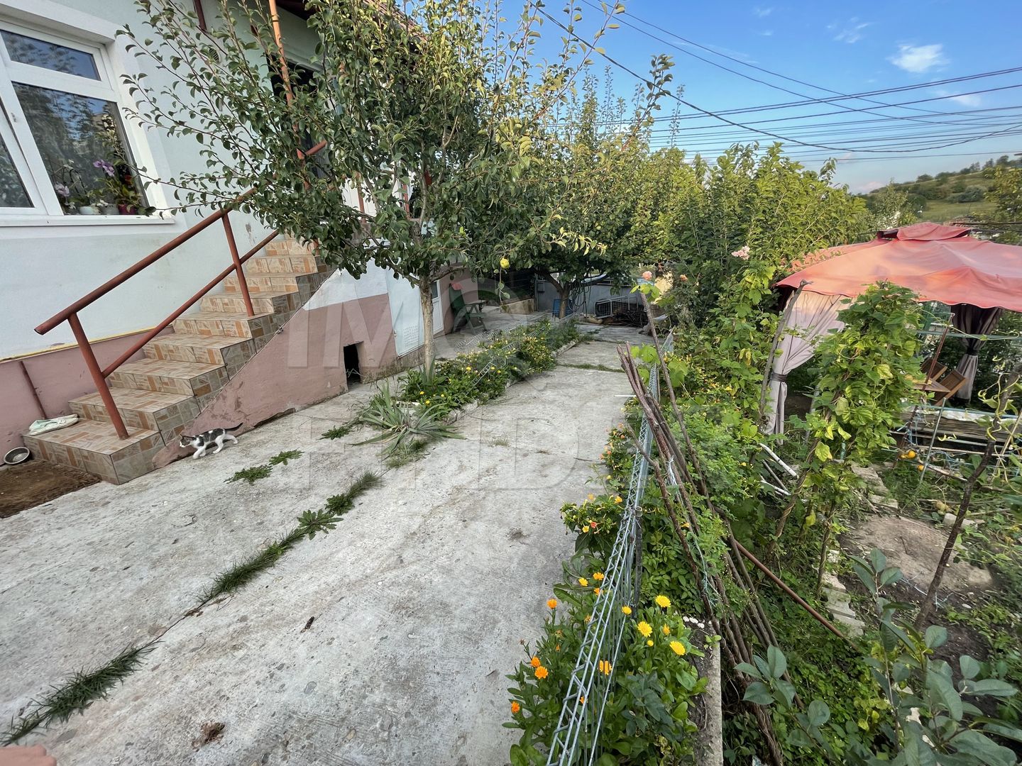Vanzare casa individuala, zona Lidl, Buna Ziua - Poză 10