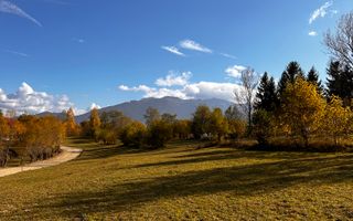 Teren Bran-Tohanita loturi intre 500/1000 mp - Poză 4