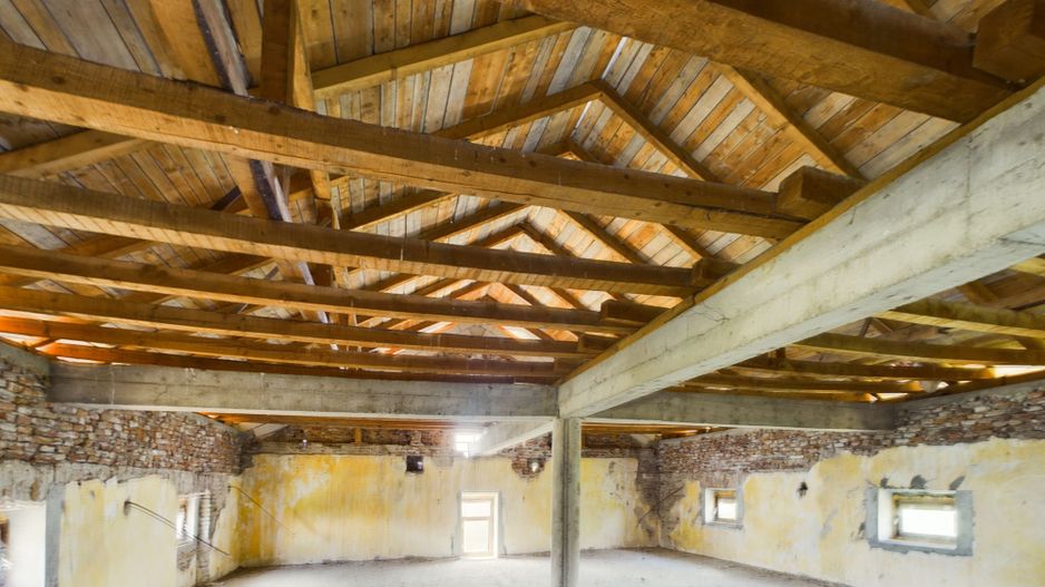 Moară istorică cu teren și luciu de apă în Aldești - Poză 7