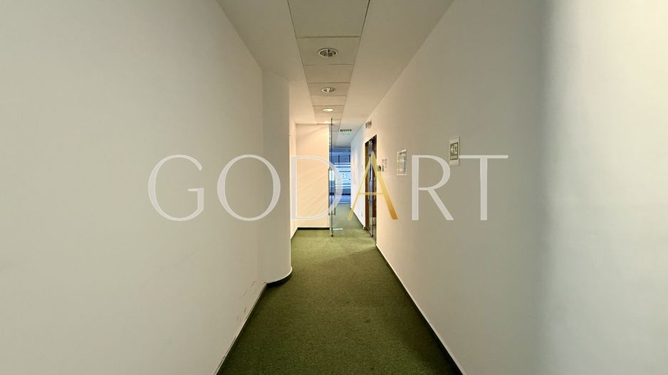 Spațiu de Birouri Premium | Etaj Integral | 455 mp - Poză 7