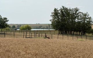 Teren intravilan Miersig, vedere la lac. 12,5 E/mp neg. Comision 0 - Poză 4