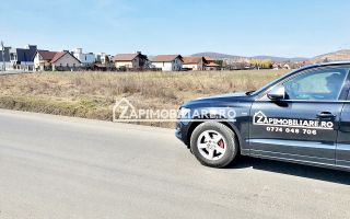 Teren 27.000 mp.deschidere la 2 drumuri ,75 euro mp. - Poză 8