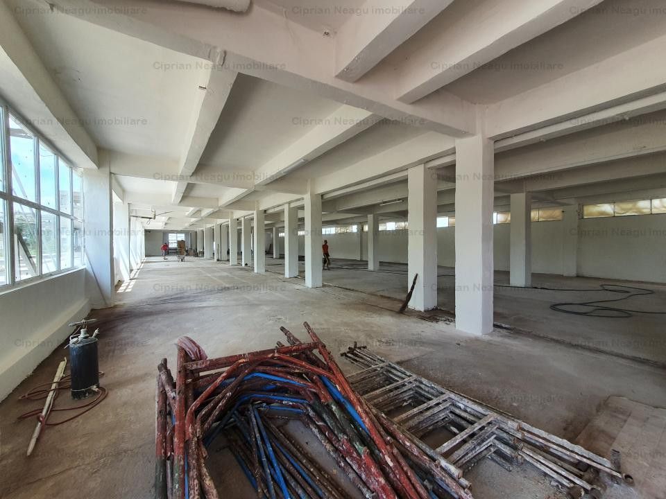 Hala Depozitare de Inchiriat Pitesti - Poză 5