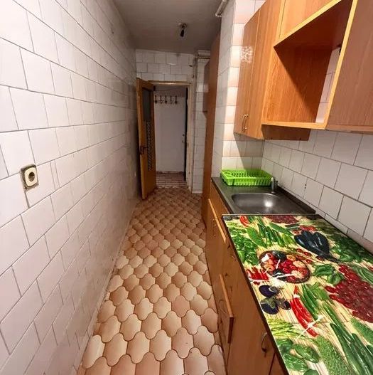 APARTAMENT ZONA DOAMNA GHICA - Poză 5