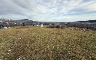 Teren Voievodeasa | 19.5Ari | Intravilan - Poză 4